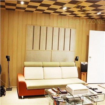 Wood composite wall cladding Wall Panel